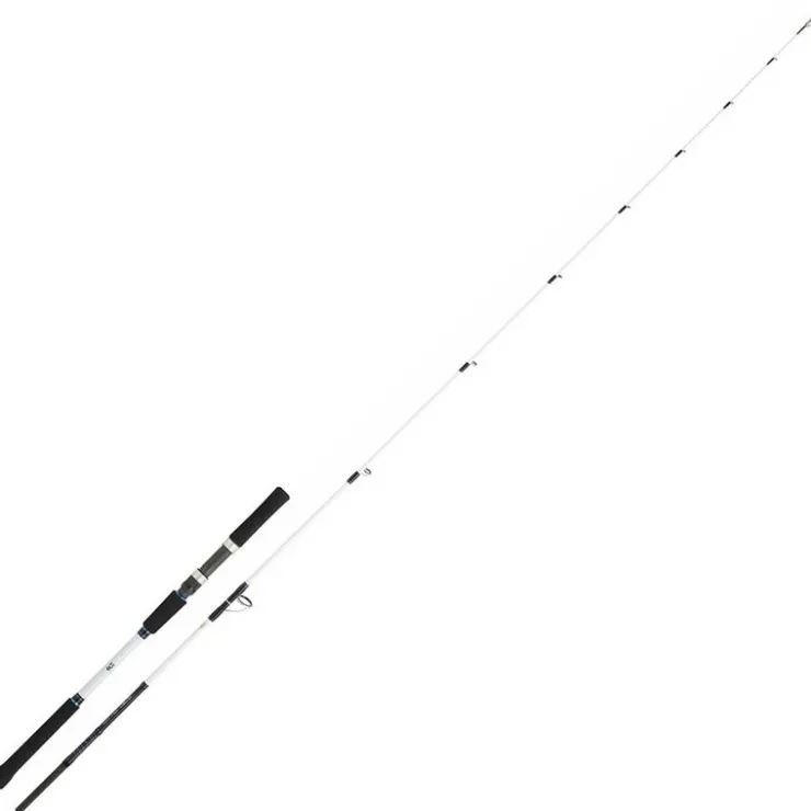 DAIWA Cannes-Canne bay jiggin saltist off shore 2.06m 60/150g