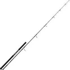 DAIWA Pêche Du Thon|Cannes-Canne Casting Saltiga 2.46m max 100g