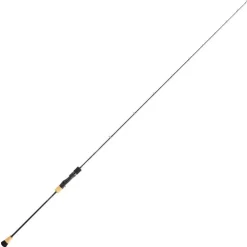 DAIWA Cannes-Canne slow jigging saltiga 1.85m 250/400g