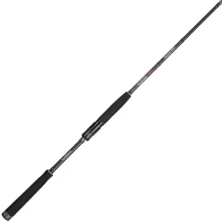 SAKURA Pêche Aux Leurres|Cannes-Canne Spinning Iconic RS Spinning ICRSS 902 MH Horizon Rider 2.74m, 10-45g