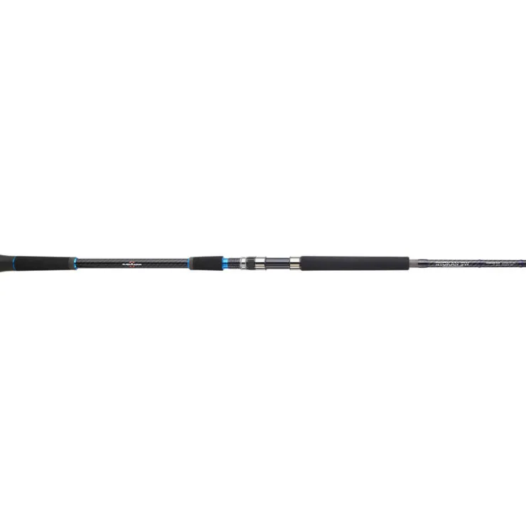 SAKURA Pêche Du Thon|Cannes-Canne Spinning Ryokan SW 882XXH Tuna 2m50 35-150g