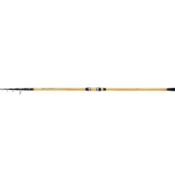 SHIMANO Cannes-Canne spinning Beastmaster FX Surf Tele 170g 4m25