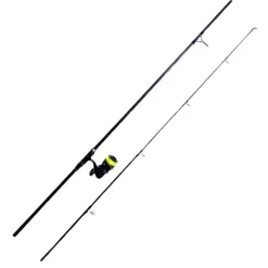 TEAM CARPFISHING Ensembles-Combo Process 10' 3lbs + 5000 FD