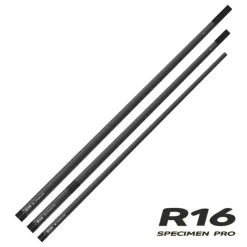 RIVE Cannes-Kit 3 Elements R-16 Specimen Pro